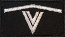 Dystynkcja do ubrania koszarowego - OSP - dowódca plutonu