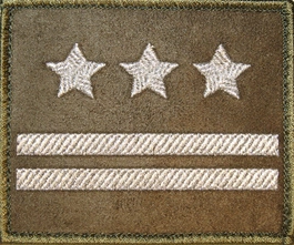 Dystynkcja na kurtkę khaki - pułkownik