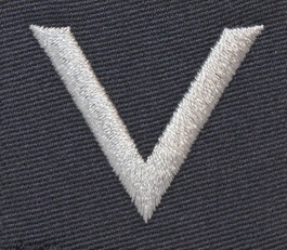 Stopień do furażerki galowej Sił Powietrznych - sierżant