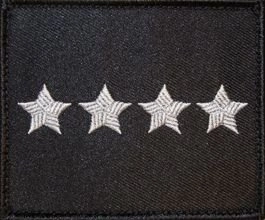 Dystynkcja na kurtkę wyjściową Sił Powietrznych - starszy chorąży sztabowy