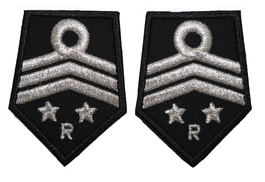 Patki OSP, oddział powiatowy - wiceprzewodniczący komisji rewizyjnej