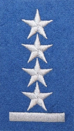 Stopień na beret WP (niebieski / h) - kapitan