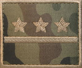 Dystynkcja polowa - rotmistrz kawalerii ochotniczej