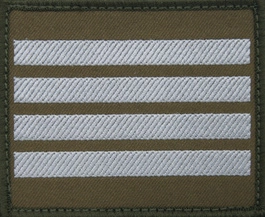 Dystynkcja na kurtkę wyjściową Wojsk Lądowych - plutonowy