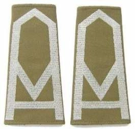 Pagony (pochewki) wyjściowe Straży Granicznej - sierżant sztabowy