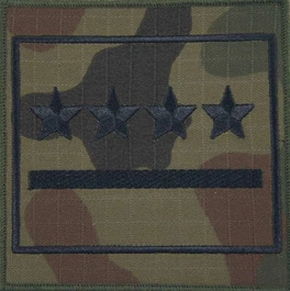 Dystynkcja wojskowa na ramię - kapitan