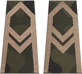 Pochewki polowe - starszy wachmistrz kawalerii ochotniczej