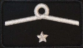 Dystynkcja do ubrania koszarowego - OSP - członek zarządu