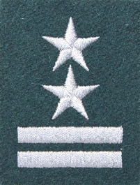 Stopień Wojska Polskiego do beretu zielonego - podpułkownik