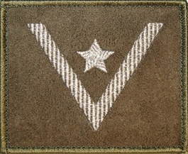 Dystynkcja na kurtkę khaki - młodszy chorąży