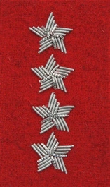 Stopień Wojska Polskiego haftowany bajorkiem do beretu szkarłatnego - starszy chorąży sztabowy