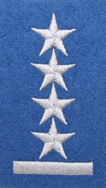 Stopień Wojska Polskiego do beretu niebieskiego - kapitan