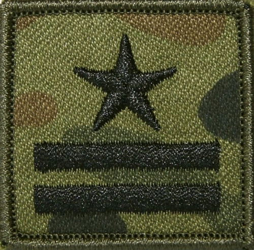 Stopień do czapki polowej - wzór SG14 - major