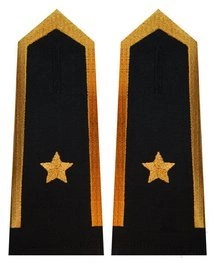 Pagony do koszuli PSP - aspirant