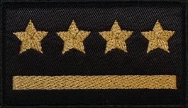 Dystynkcja do ubrania koszarowego - PSP - starszy kapitan