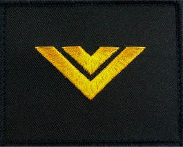 Dystynkcja Marynarki Wojennej - starszy bosman