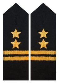 Pagony do koszuli PSP - brygadier