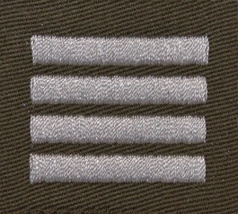 Stopień do furażerki galowej Wojsk Lądowych - plutonowy