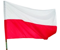Flaga 