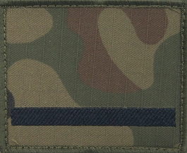 Dystynkcja na kurtkę polową Wojska Polskiego - starszy szeregowy