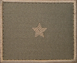 Dystynkcja khaki - chorąży kawalerii ochotniczej