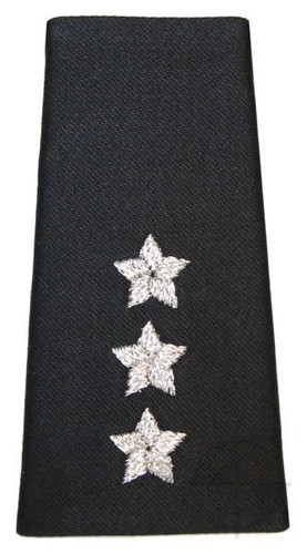 Pochewka na mundur wyjściowy 11 Lubuskiej Dywizji Kawalerii Pancernej - porucznik