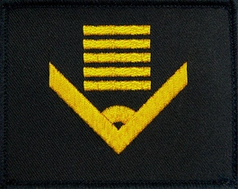 Dystynkcja Marynarki Wojennej - starszy chorąży sztabowy marynarki