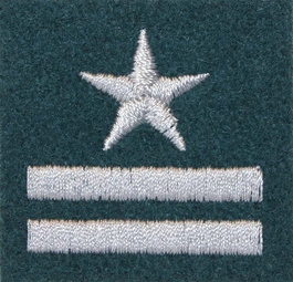 Stopień na beret WP (zielony / h) - major