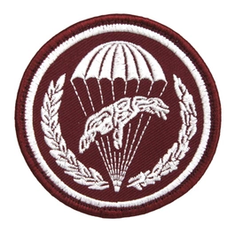 Emblemat polowy Dowództwa 6 Brygady Powietrznodesantowej