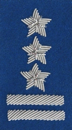 Stopień Wojska Polskiego haftowany bajorkiem do beretu niebieskiego - pułkownik