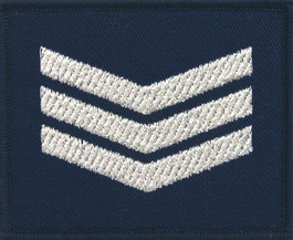 Dystynkcja na softshell Policji - sierżant sztabowy