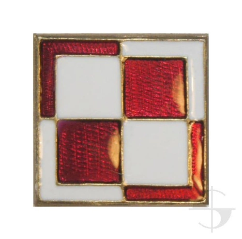 Pin - szachownica lotnicza z odznaką technika lotniczego