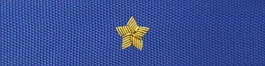 Otok do czapki garnizonowej PSP - aspirant, młodszy brygadier (haft bajorkiem)