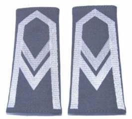 Pagony (pochewki) wyjściowe Sił Powietrznych - starszy sierżant