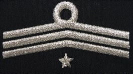 Dystynkcja do ubrania koszarowego OSP, Oddział Powiatowy - członek zarządu