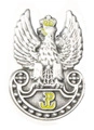 Miniatura (pin) orzełka Wojsk Obrony Terytorialnej