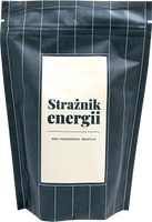 Strażnik Energii