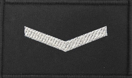 Dystynkcja czarna Policji, mała - sierżant