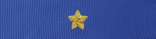 Otok do czapki garnizonowej PSP - aspirant, młodszy brygadier (haft bajorkiem) - WYPRZEDAŻ