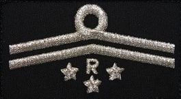 Dystynkcja do ubrania koszarowego - OSP oddział gminny - przewodniczący komisji rewizyjnej