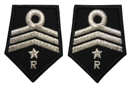 Patki OSP, oddział powiatowy - członek komisji rewizyjnej