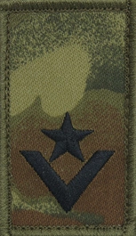 Stopień na koszulkę typu t-shirt Straży Granicznej - młodszy chorąży