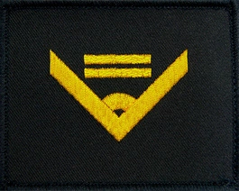 Dystynkcja Marynarki Wojennej - starszy chorąży marynarki