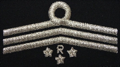 Dystynkcja do ubrania koszarowego OSP, Oddział Powiatowy - przewodniczący komisji rewizyjnej