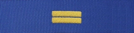 Otok do czapki garnizonowej PSP - sekcyjny (haft bajorkiem)