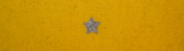 Otok żółty do rogatywki Wojska Polskiego - chorąży, major
