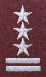 Stopień Wojska Polskiego do beretu bordowego - pułkownik