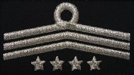 Dystynkcja do ubrania koszarowego OSP, Oddział Powiatowy - prezes