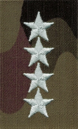Stopień do furażerki polowej - starszy chorąży sztabowy