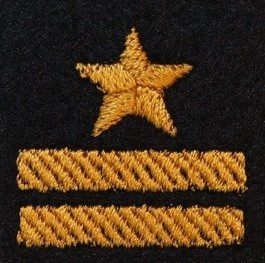 Dystynkcja na beret PSP - młodszy brygadier